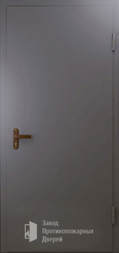 Фото двери «Техническая дверь №1 однопольная» в Звенигороду