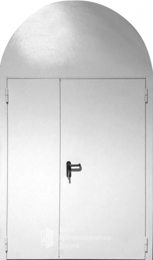 Фото двери «Арочная дверь №2» в Звенигороду