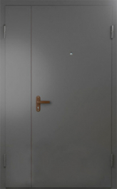 Фото двери «Техническая дверь №6 полуторная» в Звенигороду